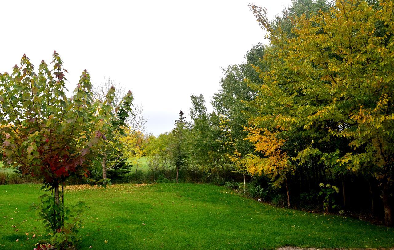 South Africa House Guest Lodge Wainwright المظهر الخارجي الصورة